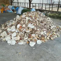 نان خشک پاک شده عالی