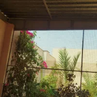 قفس پرنده