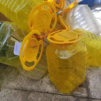 پت در فلکه ای ترشی زیتون