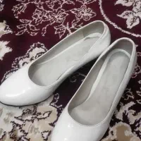 کفش مجلسی