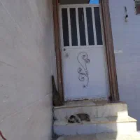 خانه اجاره ای روزانه، شبانه، سالیانه