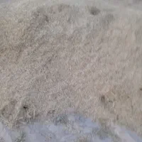 کاه گندم
