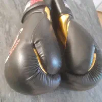 دسکش بوکس