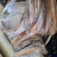ماهی پاک شده تازه رودخانه.مهران