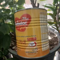قوطی شیر خشک