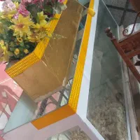 آکواریوم تمیز ومرتب