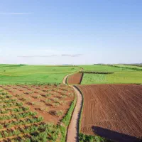 زمین 123000متر/تک مالک/معاوضه یا مشارکت