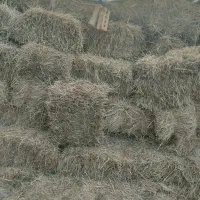 فروش پرس یونجه