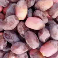 خرما رطب درجه یک ارسال میکنم به تمام نقاط کشور