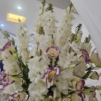 گل خارجی