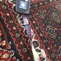 پاده لمسی