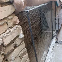 قفس مرغ.کفتر و...