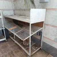 میز دست ساز میوه و تره بار