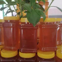 عسل طبیعی خالص