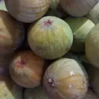 مربای انجیر مربای بهار نارنج