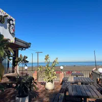 سالن دار،صندوق دار،قلیان زن