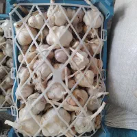 سیر|خوردنی و آشامیدنی|شهرکرد, |دیوار