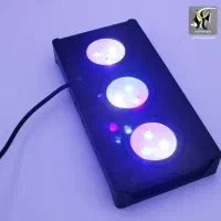 نور حرفه ای اسپکترا mo29