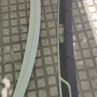بال دنا