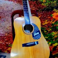 گیتار آکوستیک گیبسون - Gibson Acoustic Guitar