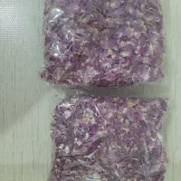 گل محمدی