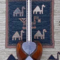 تار نیما،