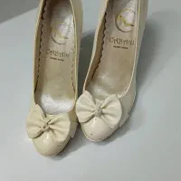 کفش مجلسی