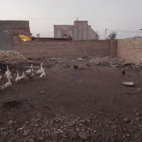 کوی-مندلی-انتهتیه-خیابون-وحدت