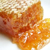 عسل‌سراب‌عمده‌،‌خرده‌‌و‌همکاری‌با‌شرکت‌ها‌