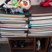 آلبوم کاغذ دیواری خارجی