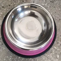 ظرف حیوانات