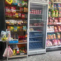 فریز ر ایستاده