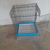 قفس پر نده
