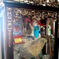 ویترین نونو