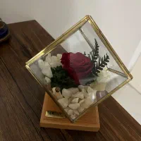 رز جاودان برند روبینارز