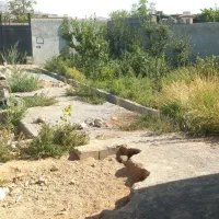 زمین-باغ-چهار-دیواری-فروشی