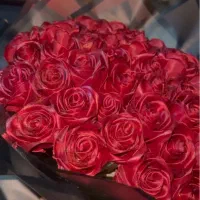 بهترین هدیه