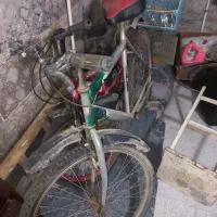 دوچرخه|دوچرخه، اسکیت، اسکوتر|مشهد, چهنو|دیوار