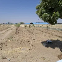 زمین-باغی