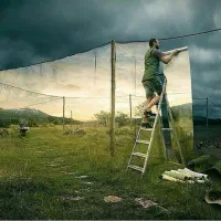 درخواست نیروی ساده