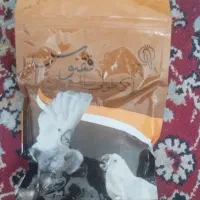پرنده سرلاک ققنوس