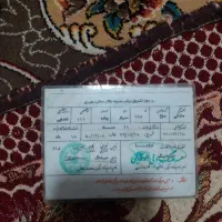 سری مدارک پیدا شده به اسم جبار احمدی