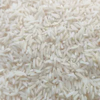 طارم هاشمی