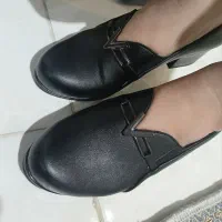 کالج نو|کیف، کفش، کمربند|قزوین, |دیوار