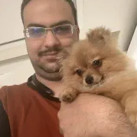 یک قلاهده سگ و گربه ماده