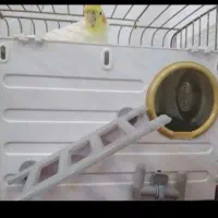 لانه پرنده