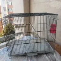 قفس پرنده
