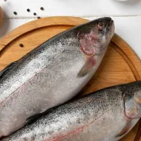 فروش ماهی قزل آلای زنده به قیمت عمده از سر استخر