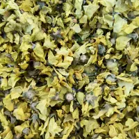 گل ختمی یاسپیده صبح