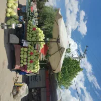خاور